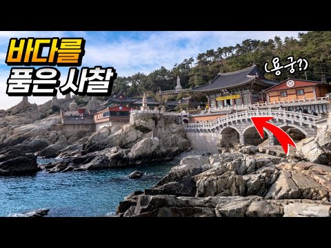 죽기전에 가봐야 할 한국에서 가장 아름다운 사찰!  | 대중교통 당일치기 여행 | temple travel in Busan, Korea