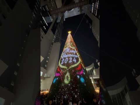 2024巨大なツリーとクリスマスマーケット🎅🎄〜梅田スカイビル〜🦌✨