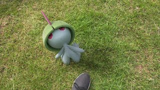 8月の「Pokémon GO コミュニティ・デイ」を「ラルトス」と一緒に楽しもう！