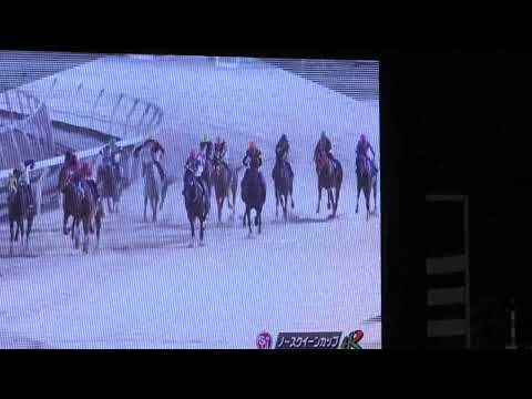 世代別牝馬重賞シリーズ「グランダムジャパン」古馬シーズン（秋）の第23回ノースクイーンカップ（H2・門別1800m外）は大井から遠征③ラブラブパイロ（牝5 父パイロ 荒井朋 西啓太56）が重賞初制覇🎊