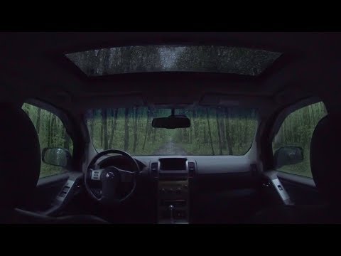 Listening to Relaxing Sounds of Rain on the Car in the Middle of the Forest at Night - Relax & Sleep