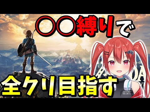 【ゼルダの伝説ブレスオブザワイルド】1日目！縛りの内容を決める...#縦型配信#shorts