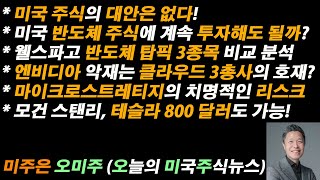 [오늘의 미국주식뉴스] 엔비디아 악재는 클라우드 3총사의 호재 / 마이크로스트레티지의 치명적인 리스크 / 웰스파고 반도체 탑픽 3종목 / 모건 스탠리, 테슬라 800 달러도 가능!