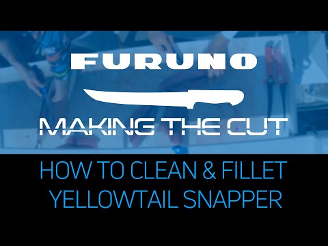 Making the Cut: How to Clean and Fillet a Yellowtail Snapper