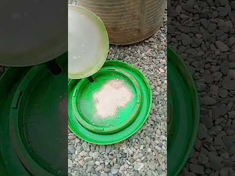 How to clean water bowls/ No Chemicals #hacks #garden #cleaning #ecofriendly  #safeclean #animals