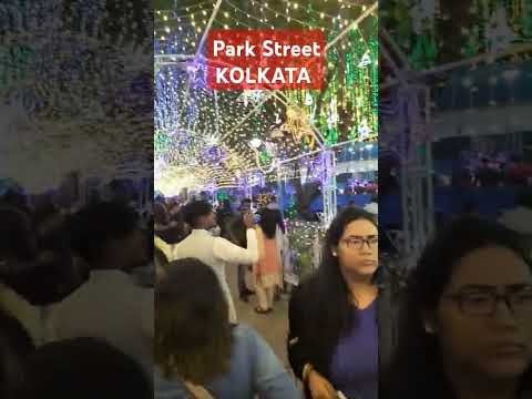 #shorts #parkstreet #christmas #christmasfestival2024 #christmaslighting #kolkata