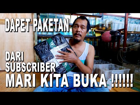 DAPET KIRIMAN PAKET DARI SUBSCRIBER