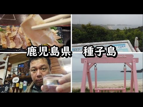 【鹿児島県種子島】45歳おっさんひとり旅。豪雨に打たれ濃霧に見舞われたおかげで焼酎お湯割り飲み比べ、インギー鶏刺身や地魚などお腹は大満足の旅