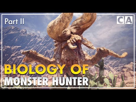 The Biology of Monster Hunter | Wildspire Waste