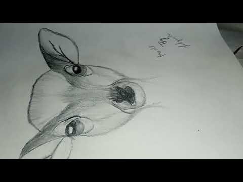 hiran drawing| drawing of baby deer