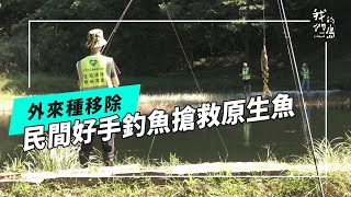 釣魚搶救原生魚｜民間好手的外來種移除行動(我們的島 第1272集 2024-09-09)