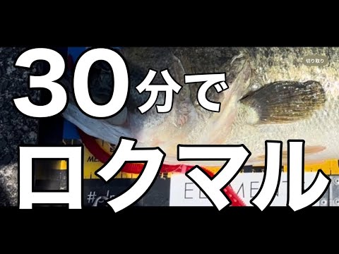 ライブ中30分でロクマル釣った男