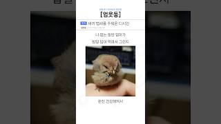 귀여운 뱁새를 주워온 디시인