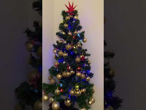 OurChristmasTree#Traumbaum#Baumliebe#OhTannenbaum#Lichterzauber#Weihnachtsstimmung