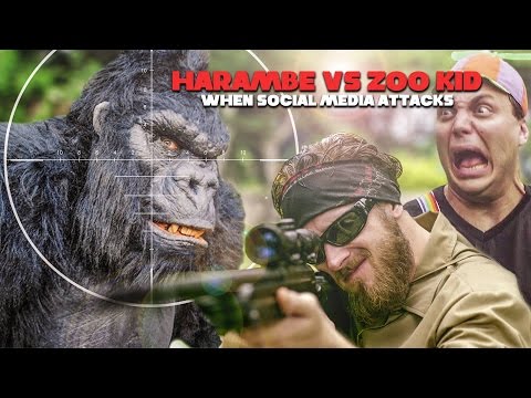 Harambe vs. Zoo Kid: When Social Media Attacks (parody)