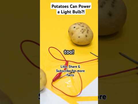 Potatoes Can Power a Light Bulb?! #facts #superfood #nutritionfacts #potato #healthybenefits #plant