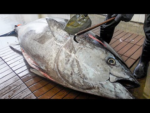 How to cut a 580 pounds bluefin tuna by a single person? / 如何一人切割580磅巨大黑鮪魚？-Taiwanese food