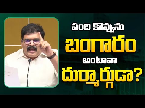 పందికొవ్వును బంగారం అంటావా దుర్మార్గుడా? | Pattabhi Ram Fires On YS Jagan | Trix Media