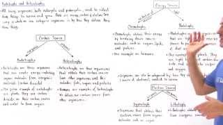 Autotrophs and Heterotrophs