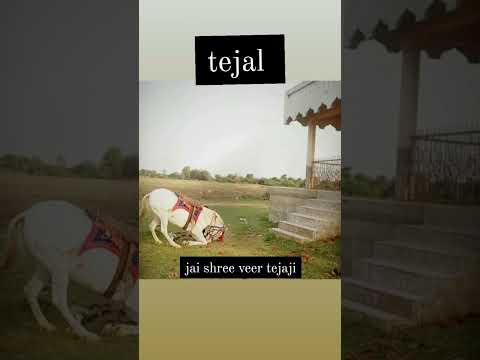 New Tejaji Whatsapp Status Video 2021 / New Tejaji Song 2021