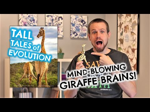 God Made Giraffe Brains | Tall Tales of Evolution