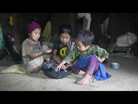 Daily life activities in village || Nepali village