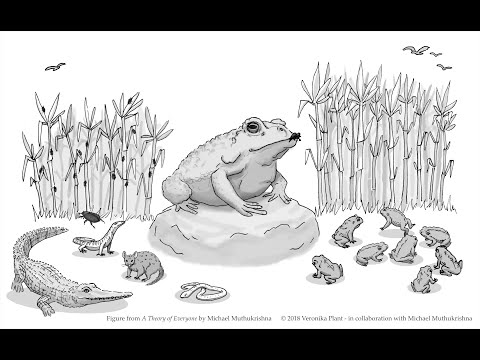 Sugar Cane Toads & Systems-Level Thinking  - In the Field with Michael Muthukrishna