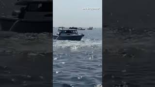 Breaching whale slams into fishing boat #shorts