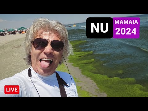 🔴 MAMAIA 2024 - MUNȚI de ALGE, TURIȘTI puțini, PREȚURI DUBLE, APĂ ADÂNCĂ, stațiunea e GOALĂ!