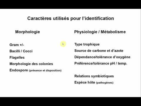 Microbio L2 CM3 2O2O