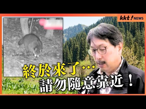 【終於來了】首次在住宅區包圍的立田山確認到浣熊 但有可能攜帶可傳染人類的疾病｜KKT NEWS @KKTNEWS.TAIWAN