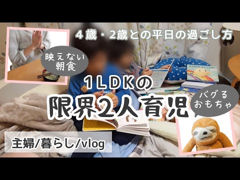 主婦 vlog｜ズボラ母と年子兄弟の平日【幼稚園/片付け/掃除/家事/育児】