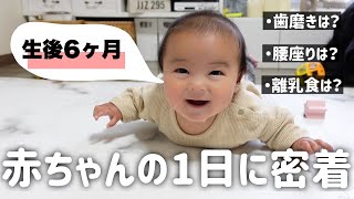 【生後6ヶ月】赤ちゃんの1日に密着/離乳食は？腰座りは？寝返り返りは？授乳回数は？