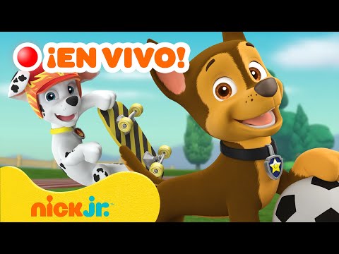 EN VIVO: ¡Rescates y Aventuras Deportivas con la Patrulla Canina!