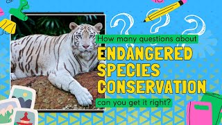 Endangered Species Conservation: Nature Lover's Delight: Quiz on the Fight to Save Our Wildlife!