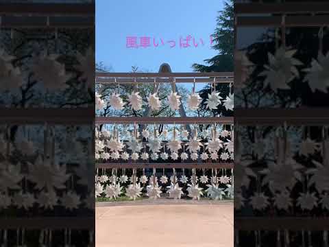 【川越氷川神社そばの公園】