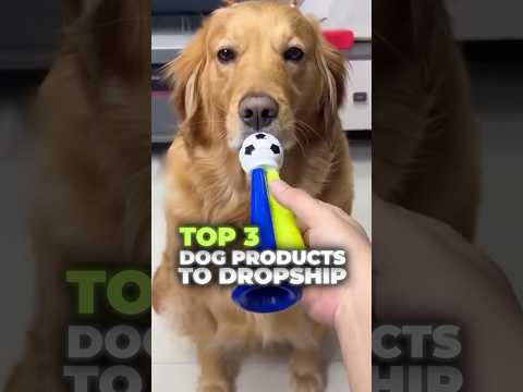 Top Pet Products to Dropship in 2025