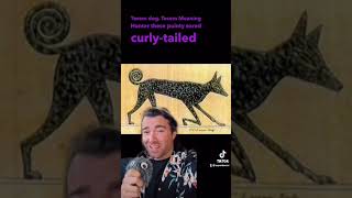 Extinct Dog Breeds - Ep 6 - TESEM DOG #learning #egypt  #dogs #history #dogbreeds #extinct #basenji