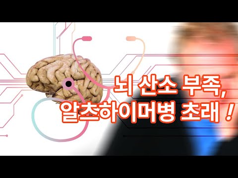 뇌의 산소 부족 알츠하이머병 초래