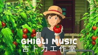 [Relaxing Music] 🎹 Studio Ghibli Recommended Original Soundtrack 🌛 Studio Ghibli OST 💕 Piano/Healing