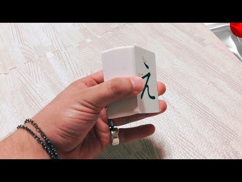 Hiragana Flashcards Battle vs Japanese Wife - 1$ Hiragana Cards