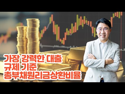 [원영섭 변호사] 총부채원리금상환비율 (DSR)