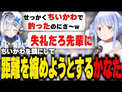 ぺこらをちいかわで釣ろうとしていたかなたんｗ【ホロライブ/切り抜き】