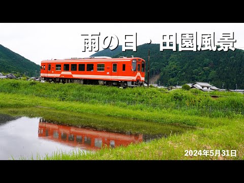 東野にて《雨の田園風景》 2024年5月31日