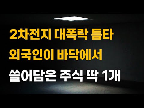 [주식] 2차전지 대폭락 틈타 외국인이 바닥에서 쓸어담은 주식 딱 1개[2차전지관련주, LG에너지솔루션전망, 에코프로비엠, 포스코홀딩스, 12월주식전망]