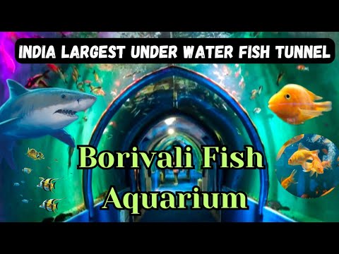 Borivali Fish Aquarium / Underwater Fish Aquarium In Mumbai / Sharks 🦈 / Hrutik Kadam