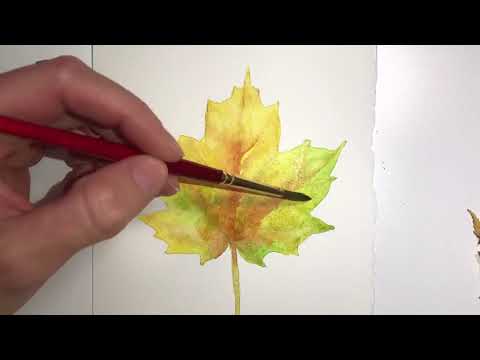 Splattering Watercolor Painting to create a Leaf