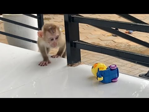 Cute Baby Boy Play in front of the house Look is very happy