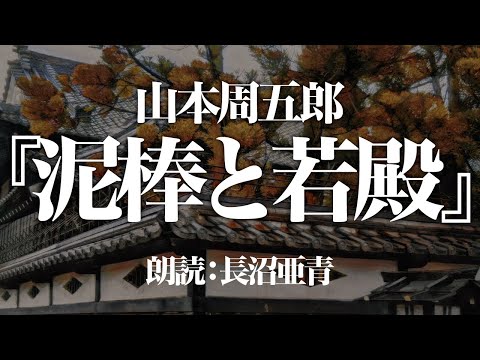 山本周五郎『泥棒と若殿』抜粋 朗読:長沼亜青