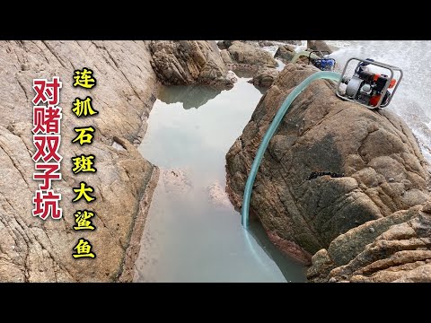 【阿向趕海】阿向阿生對賭雙子坑 運氣爆棚連抓石斑大鯊魚 不斷難敵阿克桃花運